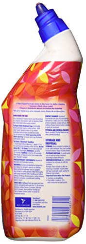 Lysol Brand New DayToilet Bowl Cleaner 24oz