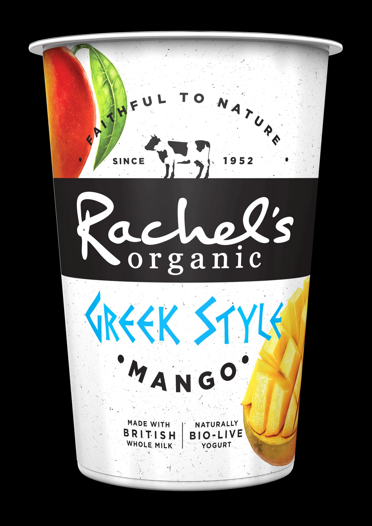 Rachel's Greek Style Honey Yogurt 450g