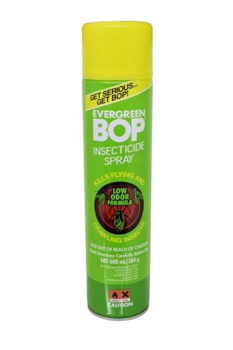 Bop Evergreen 600ml