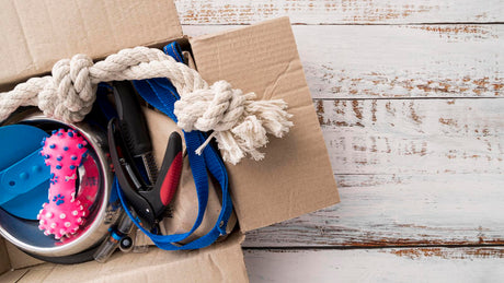 Pet care and Accessories