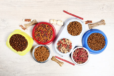 Rabbit Food