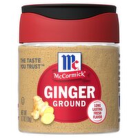 McCormick Ground Ginger 19g