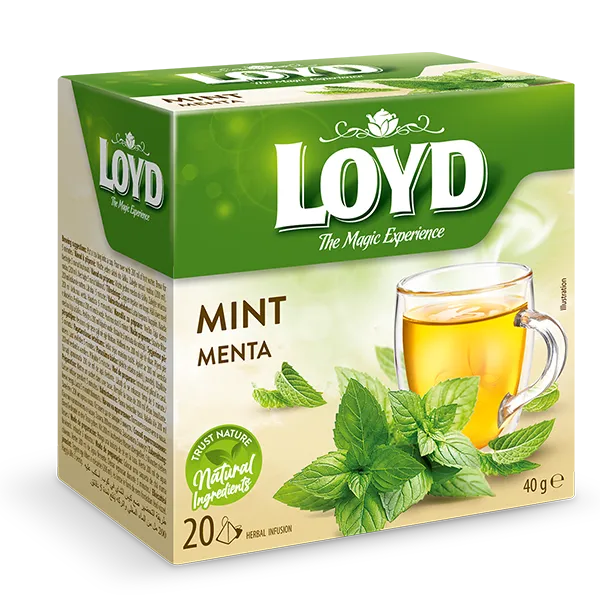 Loyd Mint Tea 20s