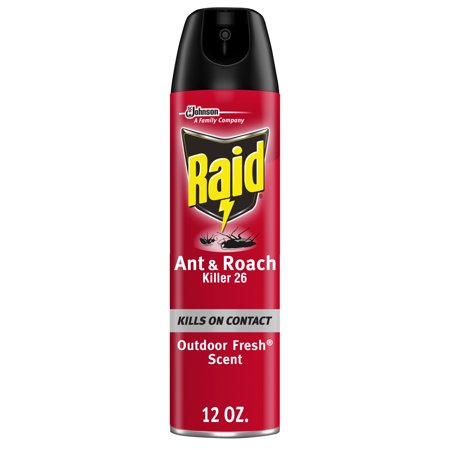 Raid Ant & Roach Insecticide 12oz