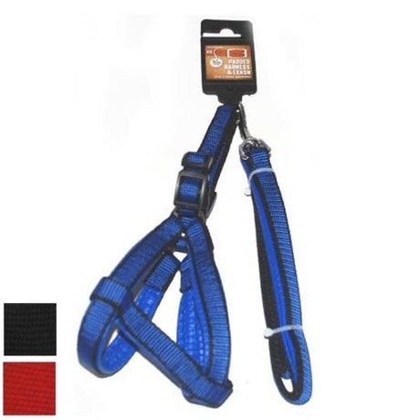 Bonita Pet Padded Harness&Leash