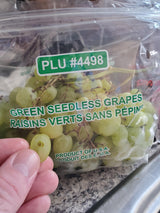 Green Seedless Grapes Nos4498
