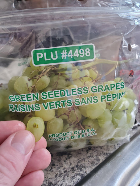 Green Seedless Grapes Nos4498