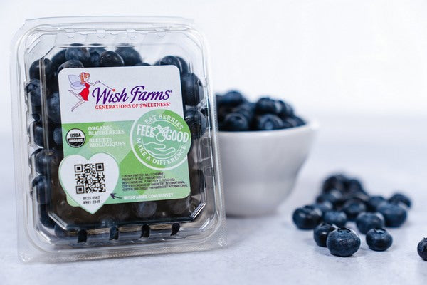 Wish Farms Blueberries