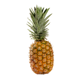 Whole Pineapple