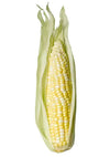 Produce Husked Corn