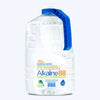 Alkaline 88 Purified Water 1Gal