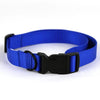 Blue Dog Collar 5/8x14-22"