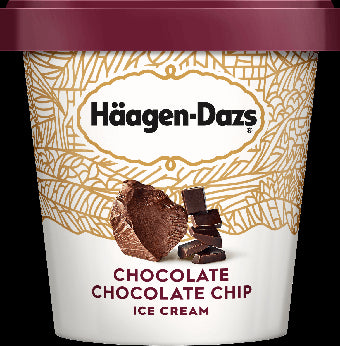 H Dazs Choc Choc Chip 100ml