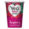 Yeo Valley Raspberry 450g