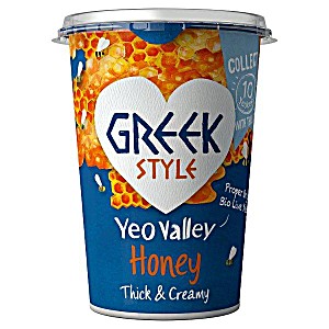 Y.Valley G.Style w Honey Yogurt 450g
