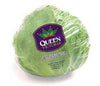 Queen Victory Iceberg Lettuce