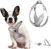 Pet Care Dog Harness Lrg