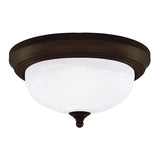 Westinghouse Indoor Ceiling Lamp