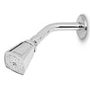 Foset Showerhead w Arm 2"