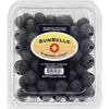 Sunbelle Blueberries 6oz