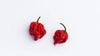 Shirleys Hot Pepper 29g