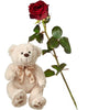 Long Stem Rose With Bear
