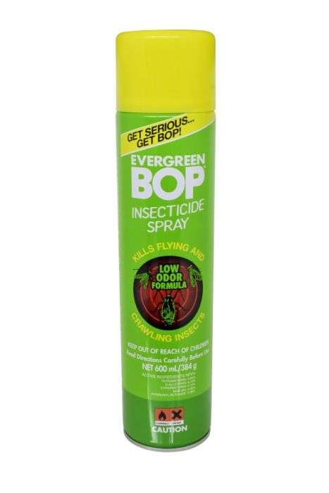 Bop Evergreen 600ml - Aone Supermarkets