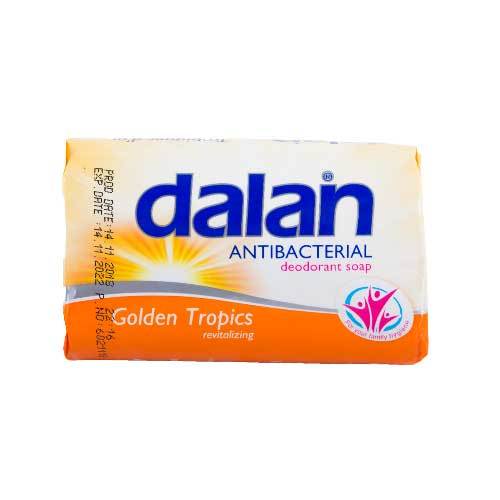 Dalan Antibacterial Soap G Tropic  3's