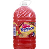 Tampico Tropical Punch 1gal